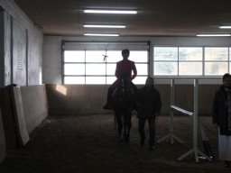 IMG_8328